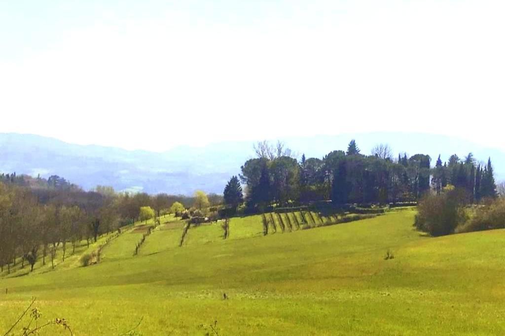 Tuscan Hills - Stonehouse, Garden & Pool Vicchio Exterior foto