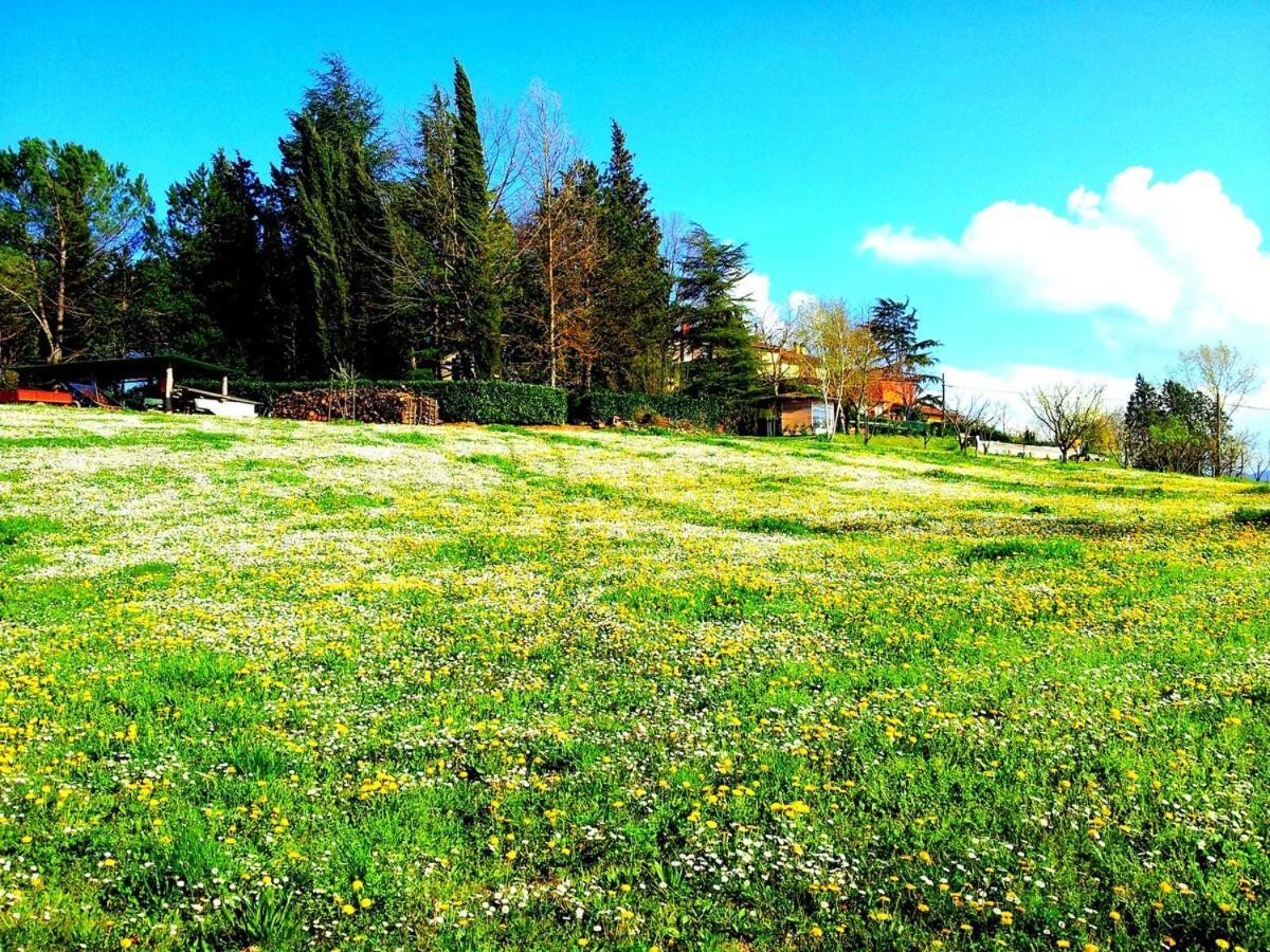 Tuscan Hills - Stonehouse, Garden & Pool Vicchio Exterior foto