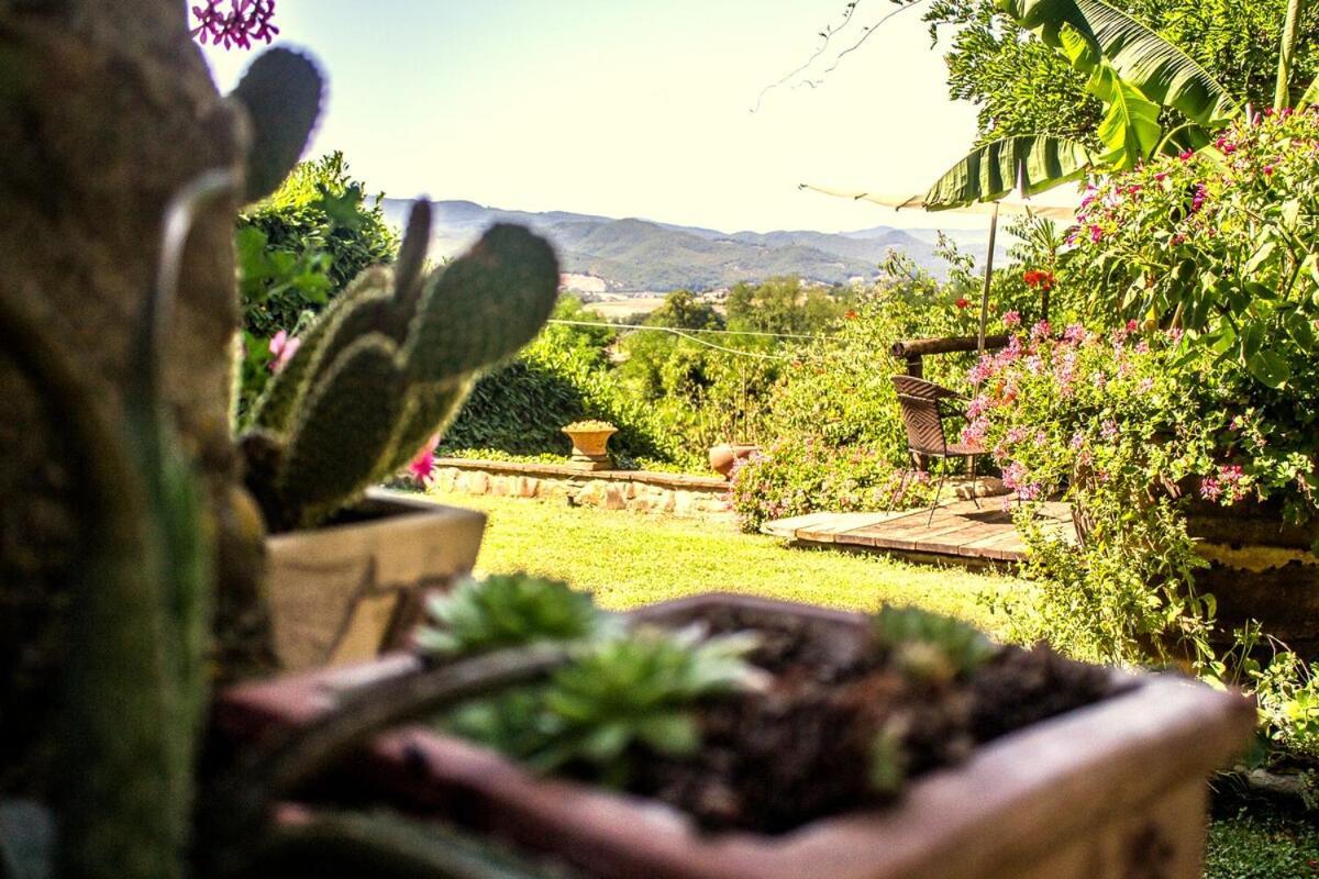 Tuscan Hills - Stonehouse, Garden & Pool Vicchio Exterior foto